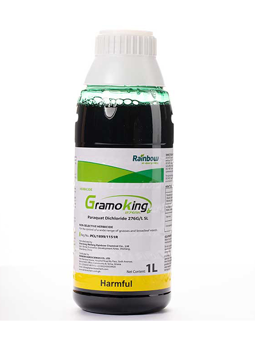 GramoSun/King Gramo