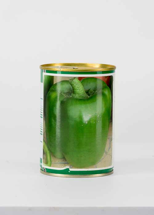 SEEDS-SWEET-PEPPER-YOLO-WONDER