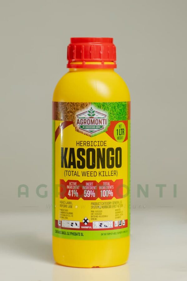 KASONGO